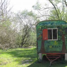 Die Stirnseite eines Bauwagens mit Fenster und Deixel. Auf dem Bauwagen ist ein Wald gemalt. Der Bauwagen steht zwischen Gras und Bäumen.