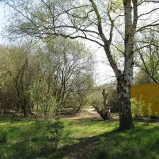Oranges Toilettenhaus zwischen Bäumen und Gras auf dem Fora Wildnisplatz