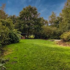 FORA Wildnisplatz: Rasen, Schuppen, Bäume 