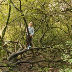 Drachenweiden auf dem FORA Wildnisplatz
