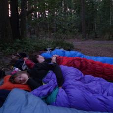 4 Kinder im Schlafsack nebeneinander. Sie schlafen draußen im Wald. Es dämmert.