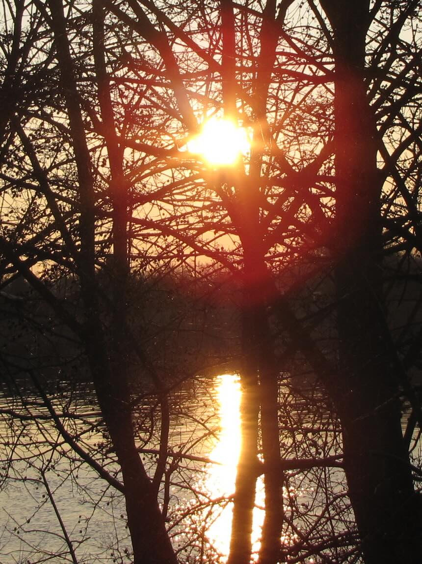 Unterghende Sonne hinter laufbreien Baeumen Sonnenuntergang hinter laubfreien Baeumen. Die Sonne spiegelt sich auf Wasseroberfläche